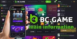 Essential BC.Game Contacts for UAE Players Essential BC.Game Contacts for UAE Players