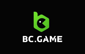 The Ultimate Guide to BC.Game Hub Your Gateway to Crypto Gaming 639830004