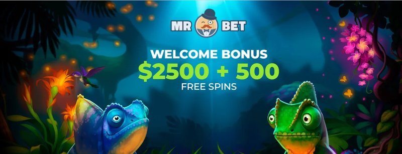 Discover the Thrills of Mr Jones Casino - Expert Review and Bonus Codes